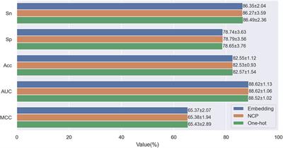 STM-ac4C: a hybrid model for identification of N4-acetylcytidine (ac4C) in human mRNA based on selective kernel convolution, temporal convolutional network, and multi-head self-attention